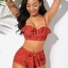 Polka Dot Ruffle Trim Bowknot Bikini Set