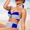 Royal Blue Stripe Print Contrast Bikini Set